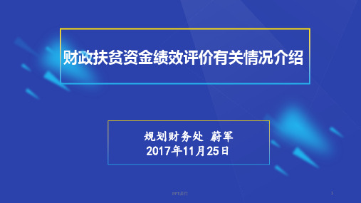 财政扶贫资金绩效评价有关情况介绍  ppt课件