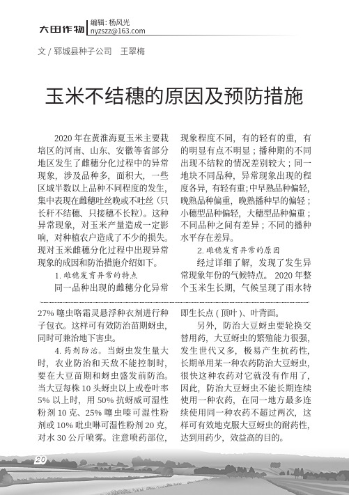 玉米不结穗的原因及预防措施