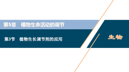 高中生物新人教版选择性必修1植物生长调节剂的应用课件(43张)