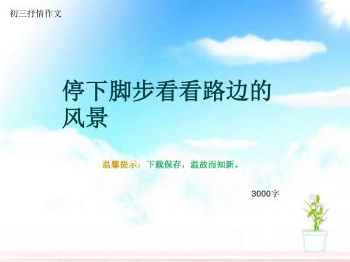 初三抒情作文《停下脚步看看路边的风景》3000字(总14页PPT)