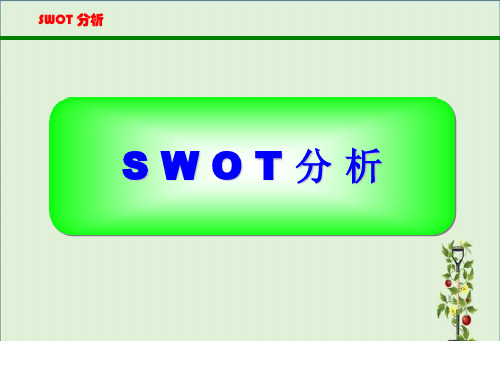 SWOT分析法(比较全面)