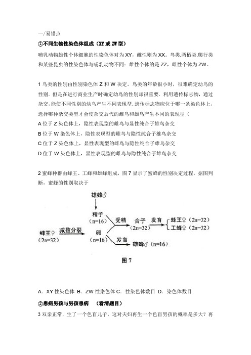 专题十三伴性遗传与人类遗传病