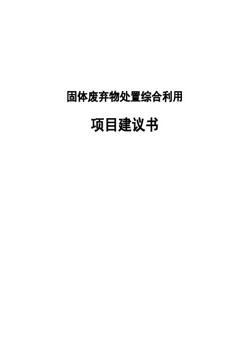 某某市固体废弃物资源综合利用处置中心项目投资计划书40