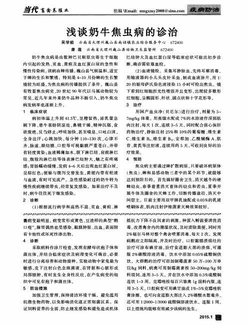 浅谈奶牛焦虫病的诊治
