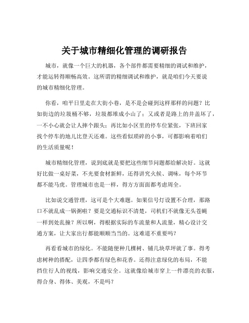 关于城市精细化管理的调研报告