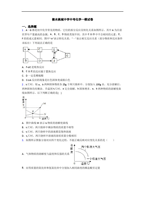 衡水桃城中学中考化学一模试卷