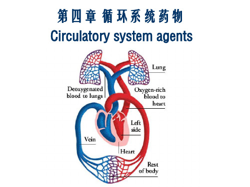 药物化学 第四章 循环系统药物