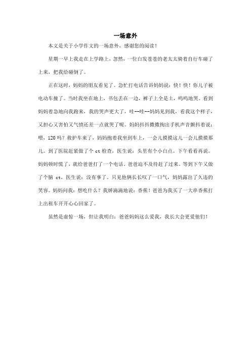 一场意外_小学作文_3