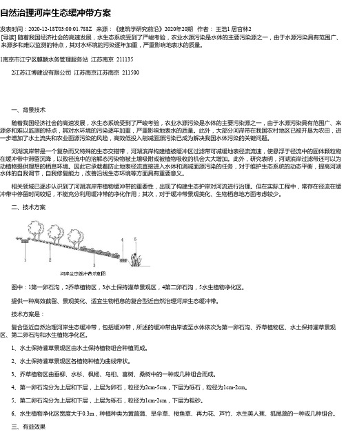 自然治理河岸生态缓冲带方案