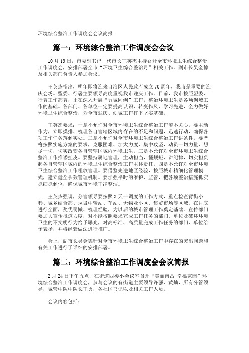 环境综合整治工作调度会会议简报