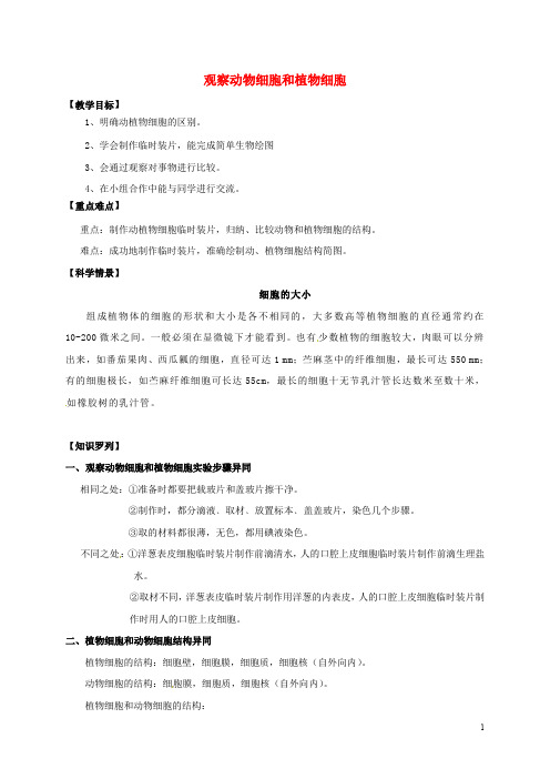 七年级科学上册《2.2.3 观察动物细胞和植物细胞》教案 (新版)浙教版