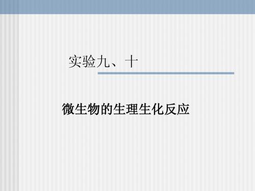 实验九、十  微生物的生理生化反应