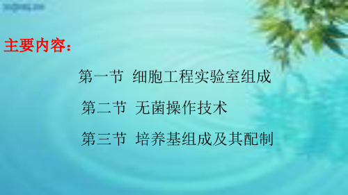 细胞工程细胞工程实验室组成及无菌操作技术精选文档