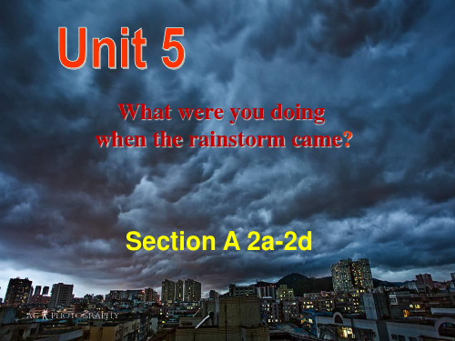 初中英语人教版八年级下册Unit5 SectionA 2a-2d