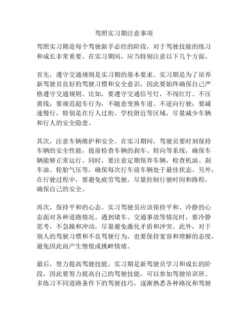 驾照实习期注意事项