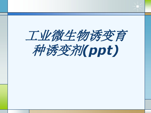 工业微生物诱变育种诱变剂(ppt)