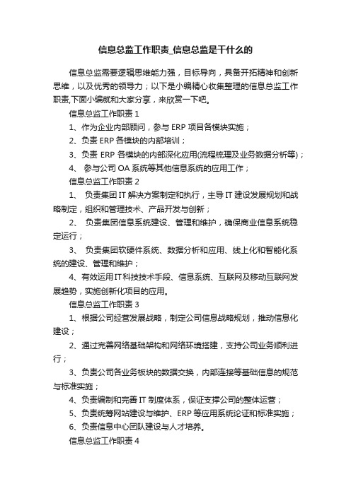 信息总监工作职责_信息总监是干什么的