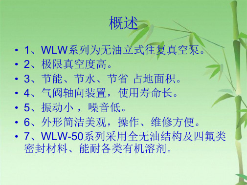 WLW真空泵操作规程(共36张PPT)