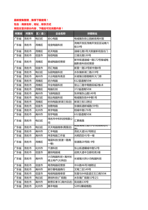 新版广东省茂名市电脑企业公司商家户名录单联系方式地址大全519家