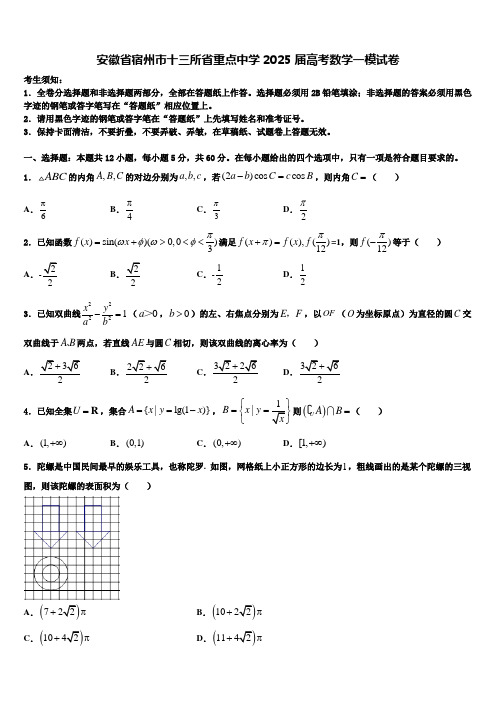 安徽省宿州市十三所省重点中学2025届高考数学一模试卷含解析