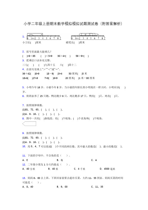 小学二年级上册期末数学模拟模拟试题测试卷(附答案解析)