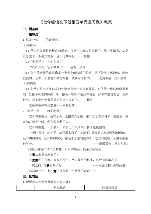 《七年级语文下册第五单元复习课》教案