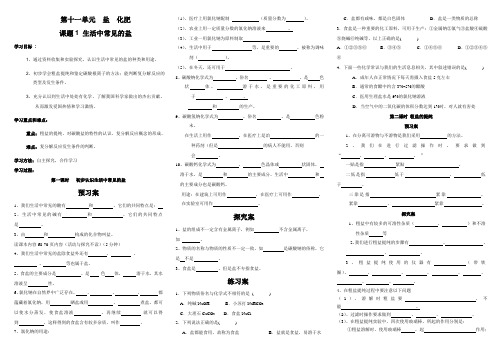 初中化学第十一章导学案