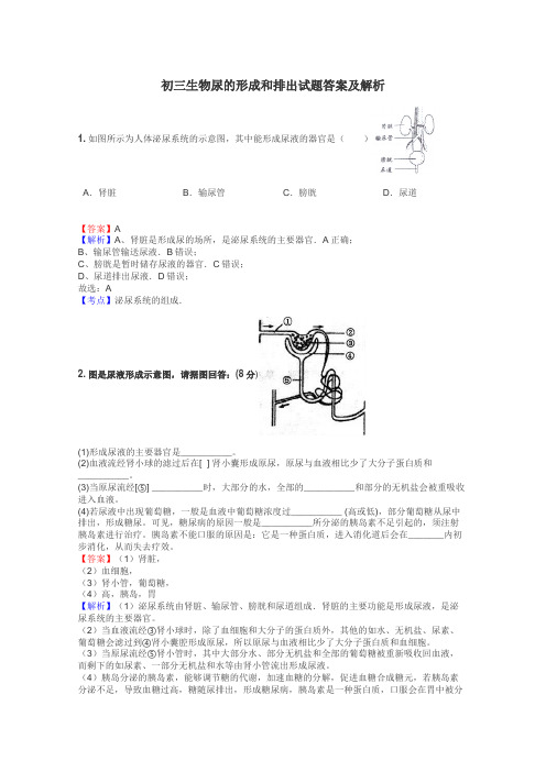 初三生物尿的形成和排出试题答案及解析
