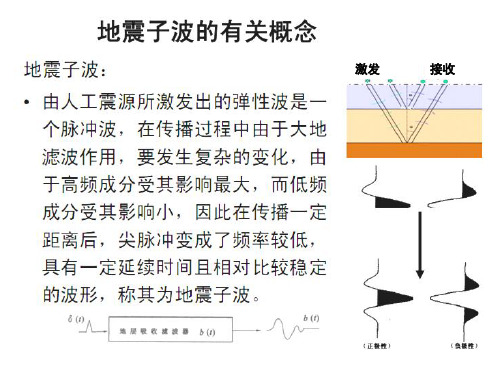 极性