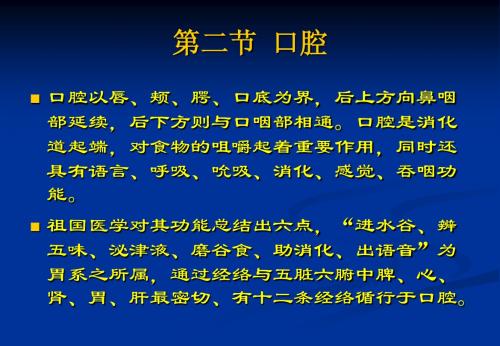 口腔解剖