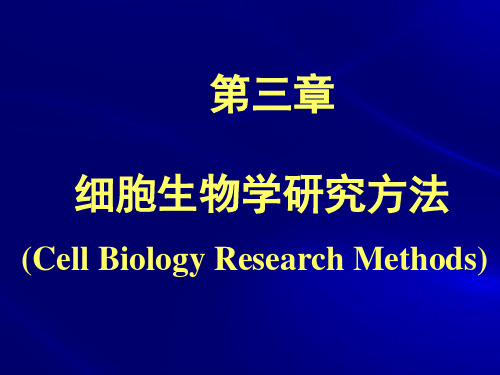 第三章 细胞生物学研究方法(杨恬)