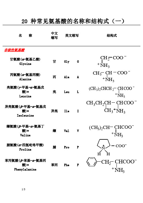 20种常见氨基酸