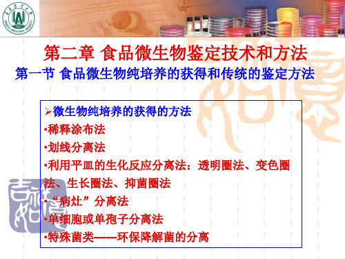 食品微生物鉴定技术和方法