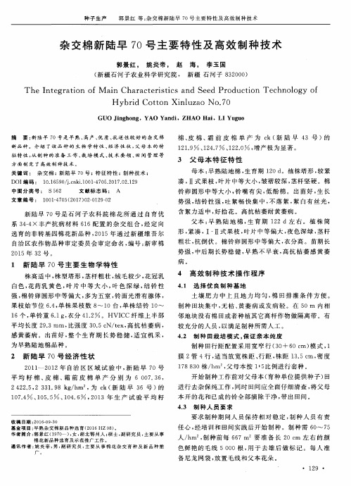 杂交棉新陆早70号主要特性及高效制种技术