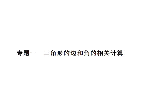 秋八年级数学上册人教版专题训练课件：专题一(共11张PPT)