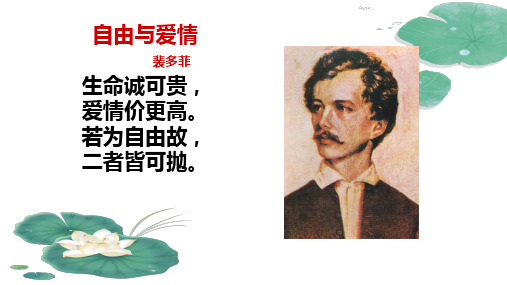 《我愿意是急流》优秀课件