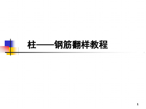 柱钢筋翻样教程演示课件