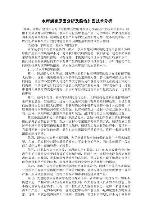 水库病害原因分析及整治加固技术分析