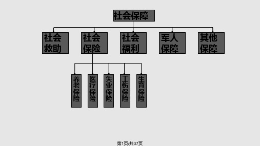 社会保障学养老保险PPT课件