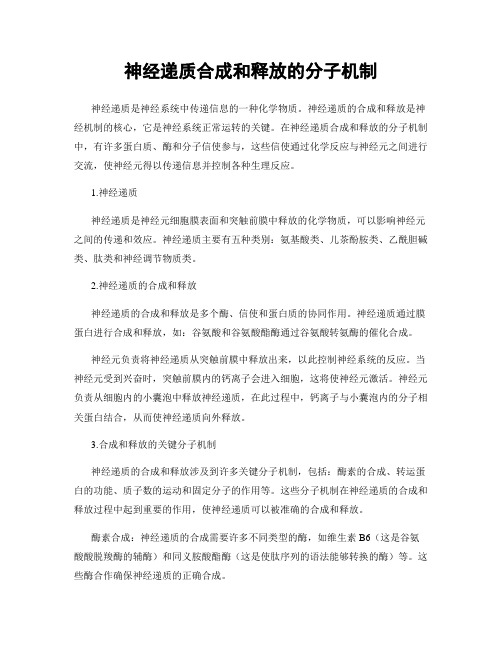 神经递质合成和释放的分子机制