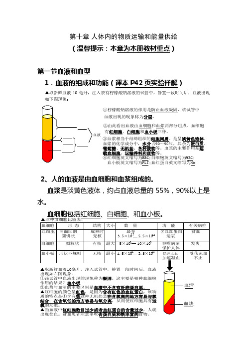 苏教版七年级生物下册第十章复习提纲