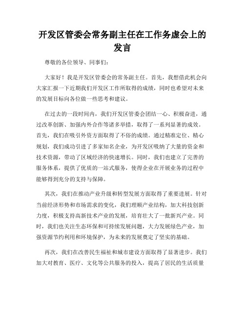 开发区管委会常务副主任在工作务虚会上的发言