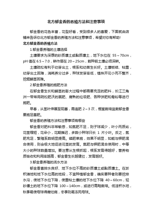 北方郁金香的养殖方法和注意事项