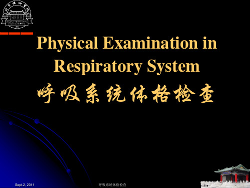 体格检查4.呼吸系统-异常