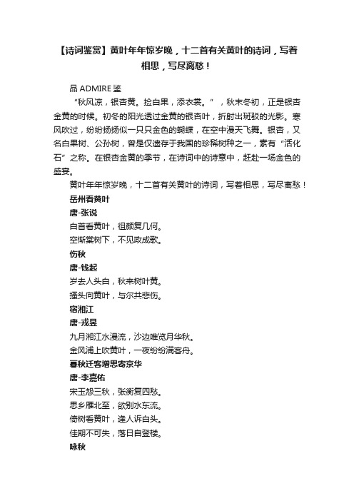 【诗词鉴赏】黄叶年年惊岁晚，十二首有关黄叶的诗词，写着相思，写尽离愁！