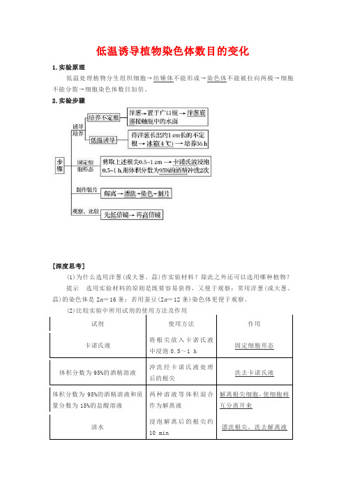 实验  低温诱导染色体数目变化