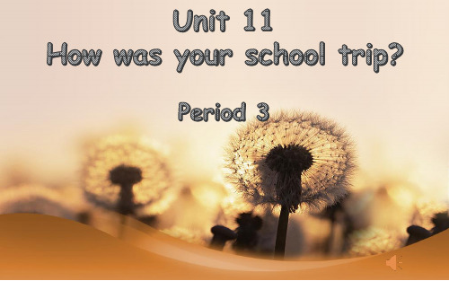 人教版七年级英语下册第十一单元课件Unit11 How was your school trip B