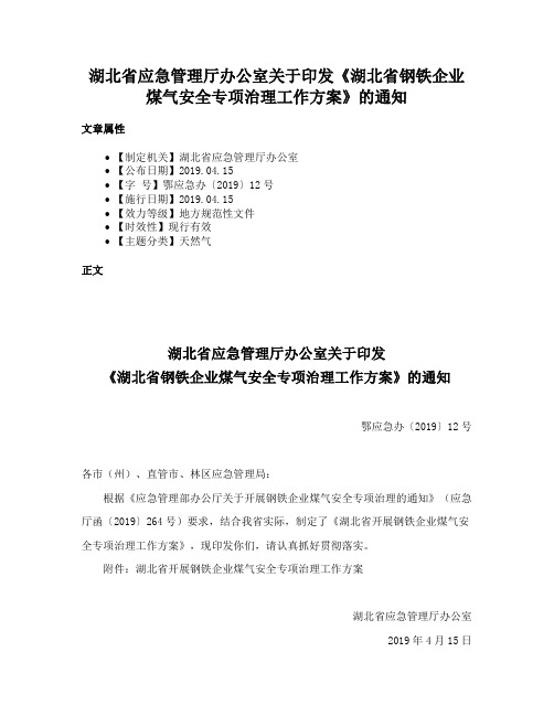 湖北省应急管理厅办公室关于印发《湖北省钢铁企业煤气安全专项治理工作方案》的通知