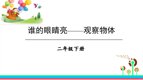 青岛版二年级下册数学《谁的眼睛亮》PPT教学课件