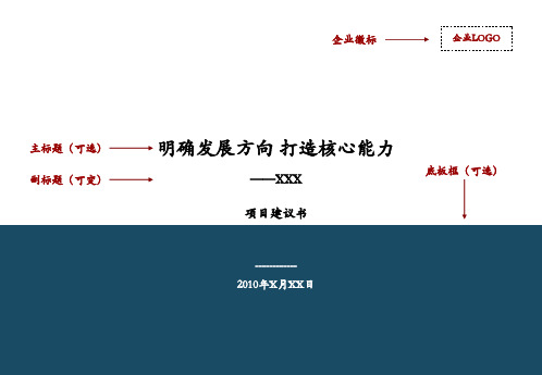 战略项目建议书模版使用说明版精品PPT课件